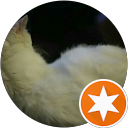 Paul R (Paulie) profile picture